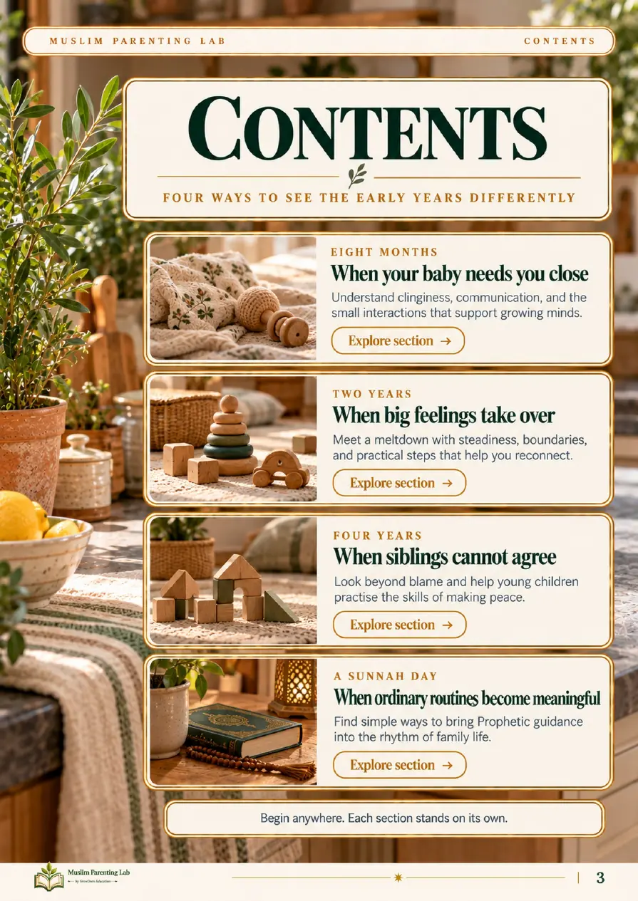 Page 3, Contents: four ways to see the early years differently